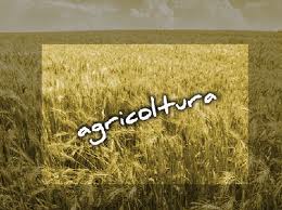 subentro in agricoltura