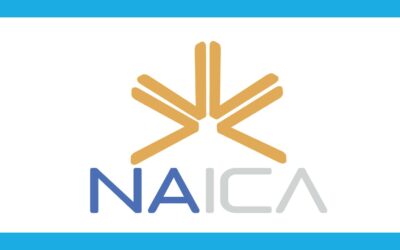 Naica – organismo di ricerca privato